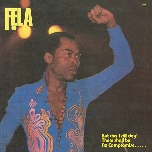 Fela Kuti's 'Army Arrangement' on Vinyl
