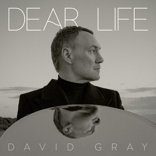 Dear Life - Seaweed Green