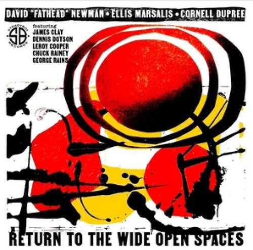 Return To The Wide Open Spaces (RSD 2025)