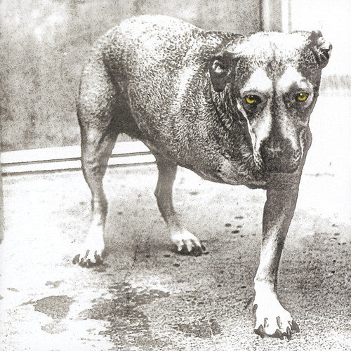 Alice in Chains - CD