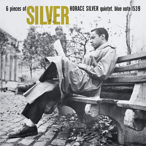 6 Pieces of Silver Vinyl