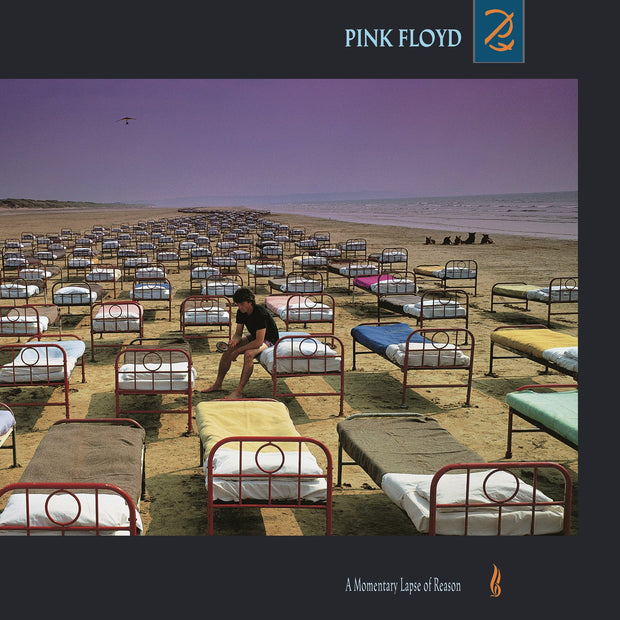 Pink Floyd A Momentary Lapse of Reason vinyl record