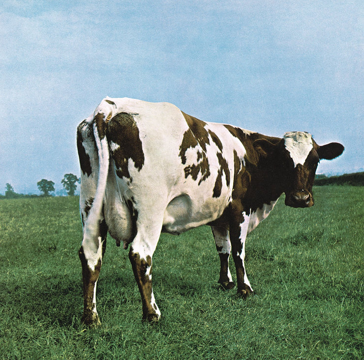 Pink Floyd's Atom Heart Mother on Vinyl