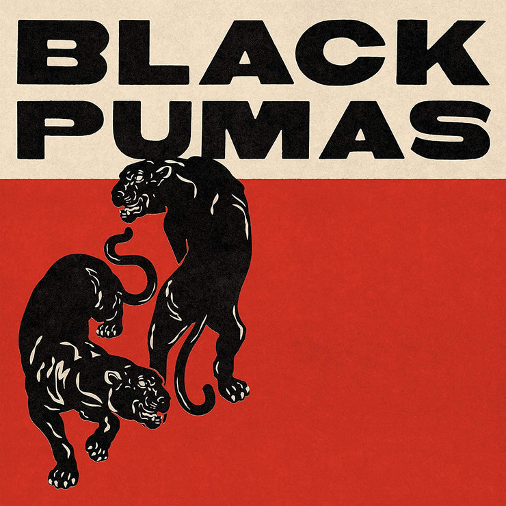 Black Pumas vinyl album available at REB Records