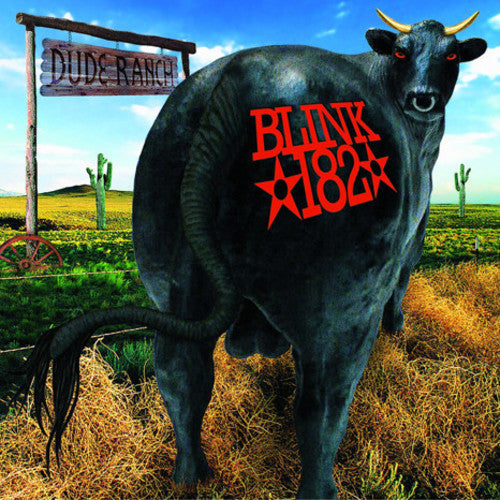 Blink-182 Vinyl Album