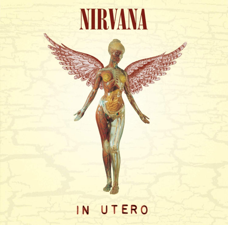 Nirvana In Utero Album