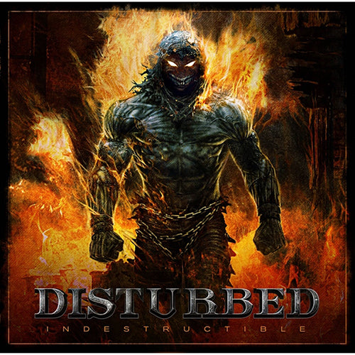 Disturbed Album Vinyl