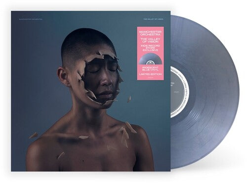 The Valley Of Vision (Indie Exclusive, Limited Edition, Colored Vinyl, Blue)